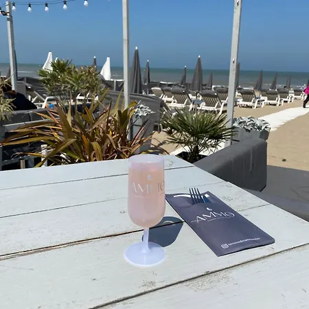 Cote - Magnifique De Charme A Sur - Linge - Lit Fait - Parking - Wifi - Classe Par L'office Du Tourisme * Trouville-sur-Mer