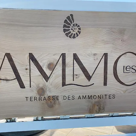 Διαμέρισμα Cote - Magnifique De Charme A Sur - Linge - Lit Fait - Parking - Wifi - Classe Par L'office Du Tourisme