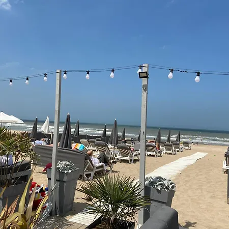 Διαμέρισμα Cote - Magnifique De Charme A Sur - Linge - Lit Fait - Parking - Wifi - Classe Par L'office Du Tourisme *