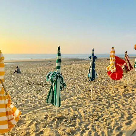 Cote - Magnifique De Charme A Sur - Linge - Lit Fait - Parking - Wifi - Classe Par L'office Du Tourisme