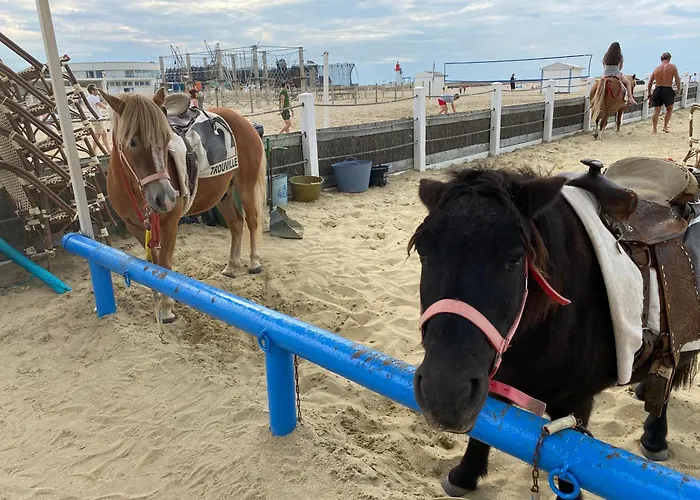 Cote - Magnifique De Charme A Sur - Linge - Lit Fait - Parking - Wifi - Classe Par L'office Du Tourisme *