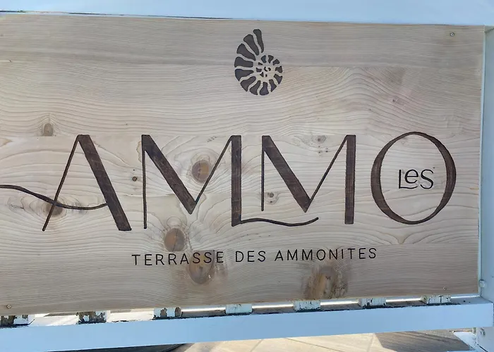 公寓 Cote - Magnifique De Charme A Sur - Linge - Lit Fait - Parking - Wifi - Classe Par L'office Du Tourisme